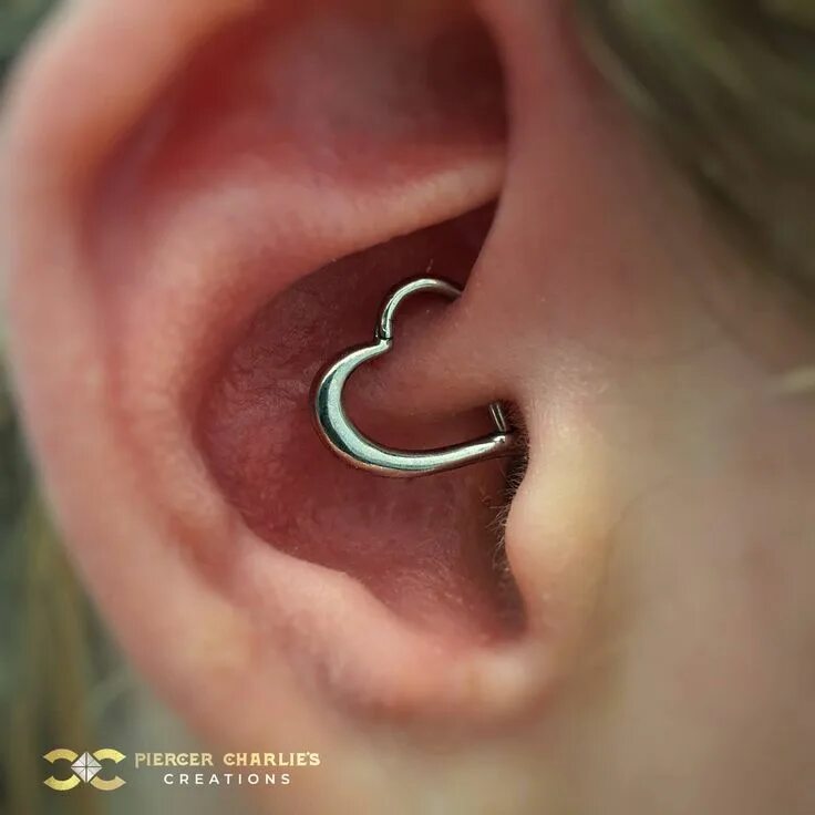 Проколола сердце шпилькой фото в ленту Heart Daith Clicker Earring, Steel - Piercer Charlie's Creations Cool ear pierci