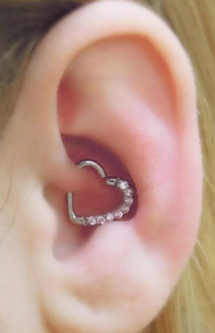 Проколола сердце шпилькой фото в ленту Amore Crystal Heart Daith Ear Piercing Daith ear piercing, Cute ear piercings, C