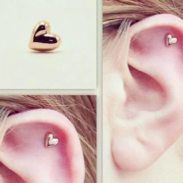 Проколола сердце шпилькой фото в ленту HEART CARTILAGE EARRING ! Earings piercings, Ear jewelry, Cute ear piercings