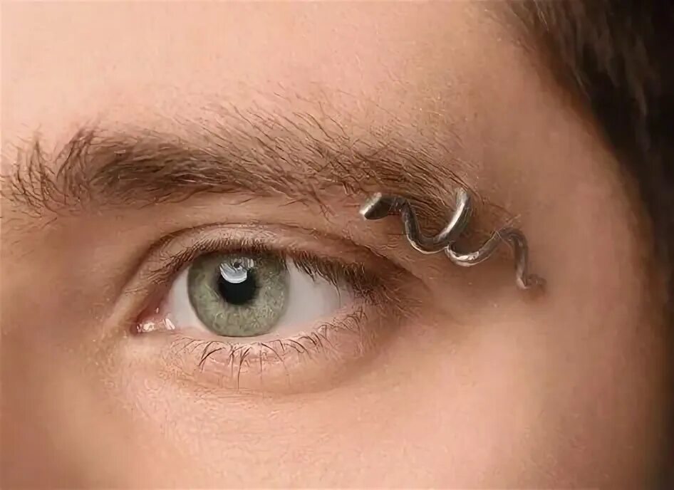 Проколоть бровь фото 10 популярных идей на тему "mens eyebrow piercing" для вдохновения