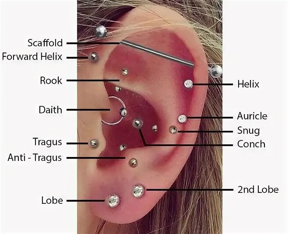 Проколы хряща уха названия и фото 10 популярных идей на тему "earring names chart" для вдохновения