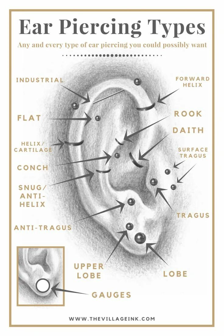 Проколы уха названия с фото Ear Piercing Types Ear piercings chart, Piercing chart, Types of ear piercings