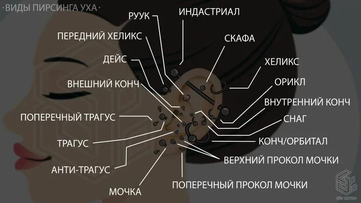 Проколы уха названия с фото 17 видов пирсинга уха Пирсинг ушной раковины, Пирсинг, Идеи для пирсинга