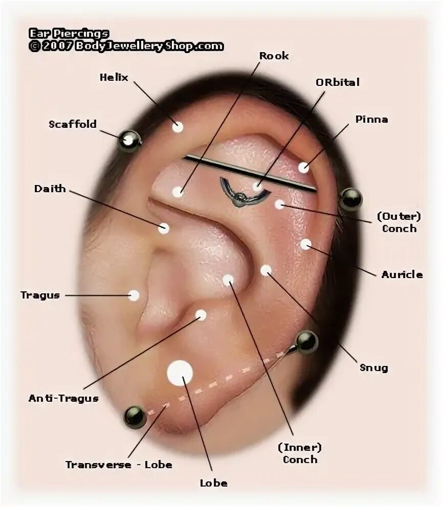 Проколы ушей виды фото и названия ear piercing types Ear piercing diagram, Ear piercing names, Ear piercings