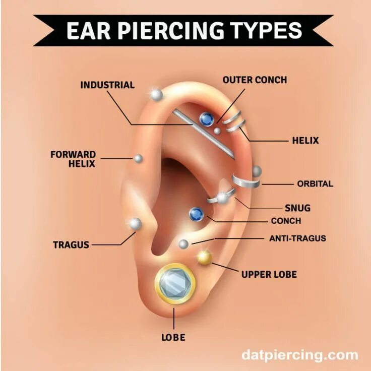 Проколы ушей виды фото и названия The Different Types Of Ear Piercing And Their Names u2013 Dat Piercing Ear pierc