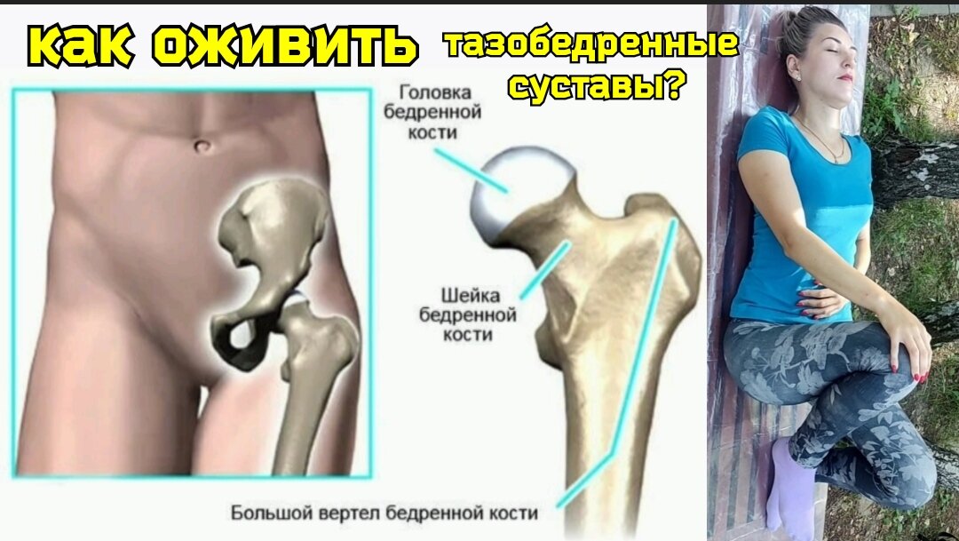 Проксимальный отдел бедренной кости где находится фото Тазобедренные суставы деградируют из-за неправильной ходьбы и неправильных упраж