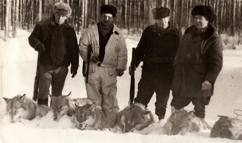 Промысловая охота в советском союзе фото 1979 год. / Охотничьи фото: Старый альбом / Сибирский охотник