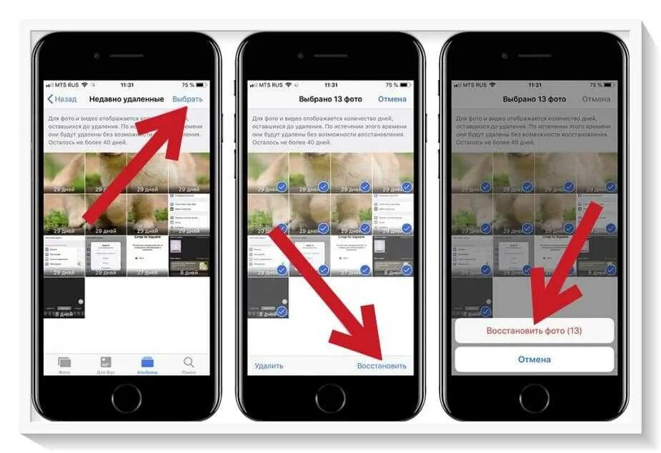 Пропали фото из галереи айфона Где хранятся удаленные фото на айфоне фото - Сервис Левша