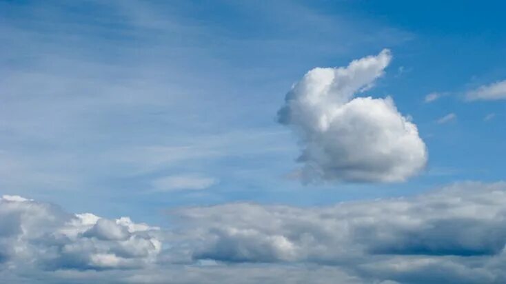 Пропали фото из облака Rabbit cloud - Richard Cross Photography Clouds, Amazing nature, Angel clouds