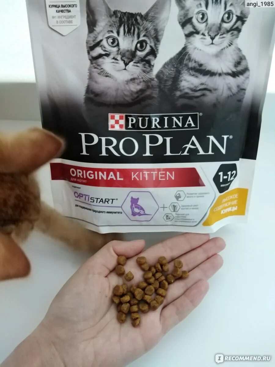 Проплан для кошек как выглядит Корм для кошек Purina Pro Plan Original Kitten - "Корм для котят, который нам по