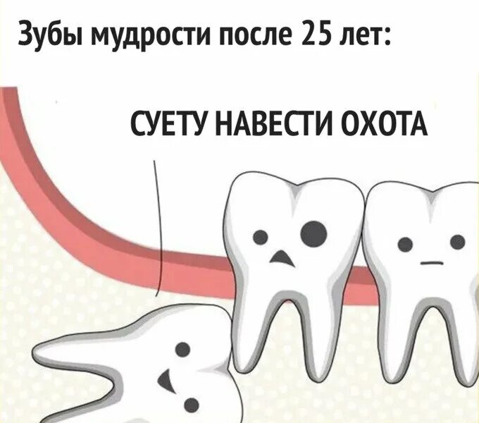 Прорезывающийся зуб мудрости фото Зубы мудрости, ЗАЧЕМ Мастерская стоматолога Дзен