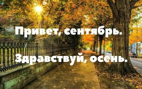 Прощай сентябрь фото Учитесь любви и верности у лебедей. Группа на OK.ru Вступай, читай, общайся в Од