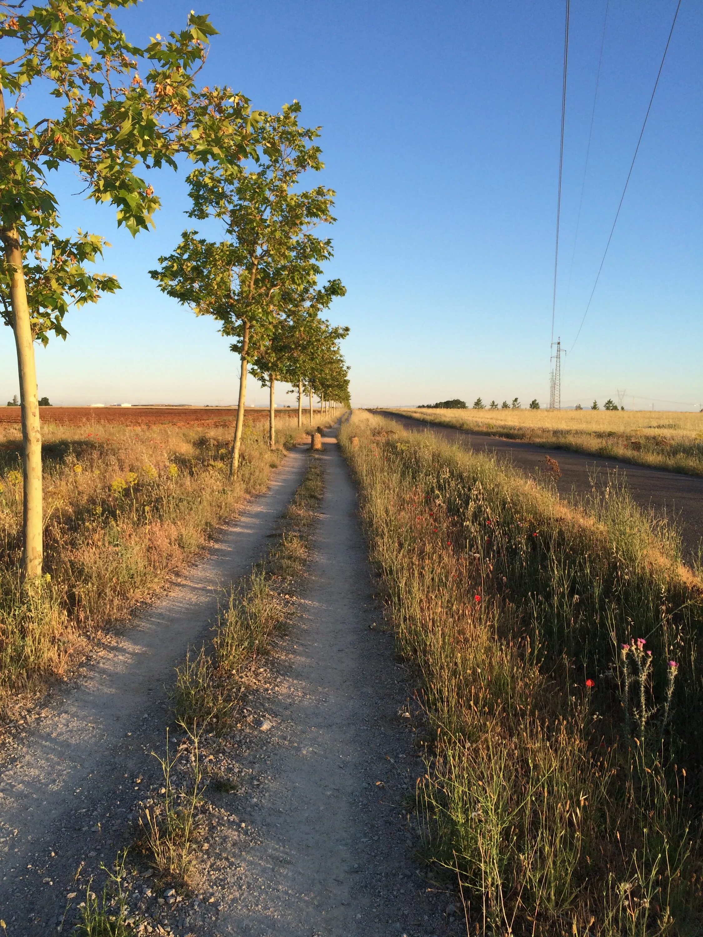 Проселочная дорога фото Pin by XXI on Camino 2015 Country roads, Road, Country