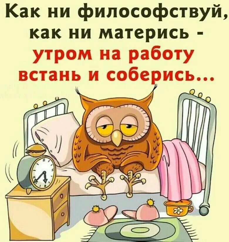 Проснись и пой картинки прикольные доброе утро Pin by Alex Fandalyuk on Смотр Humor, Funny, Positivity