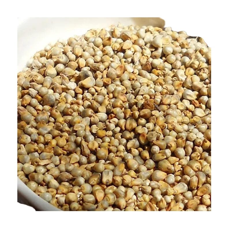 Просо куриное семена фото Factory Supply Spray High Quality 2021 Crop Wholesale Yellow Grain White Red Gol