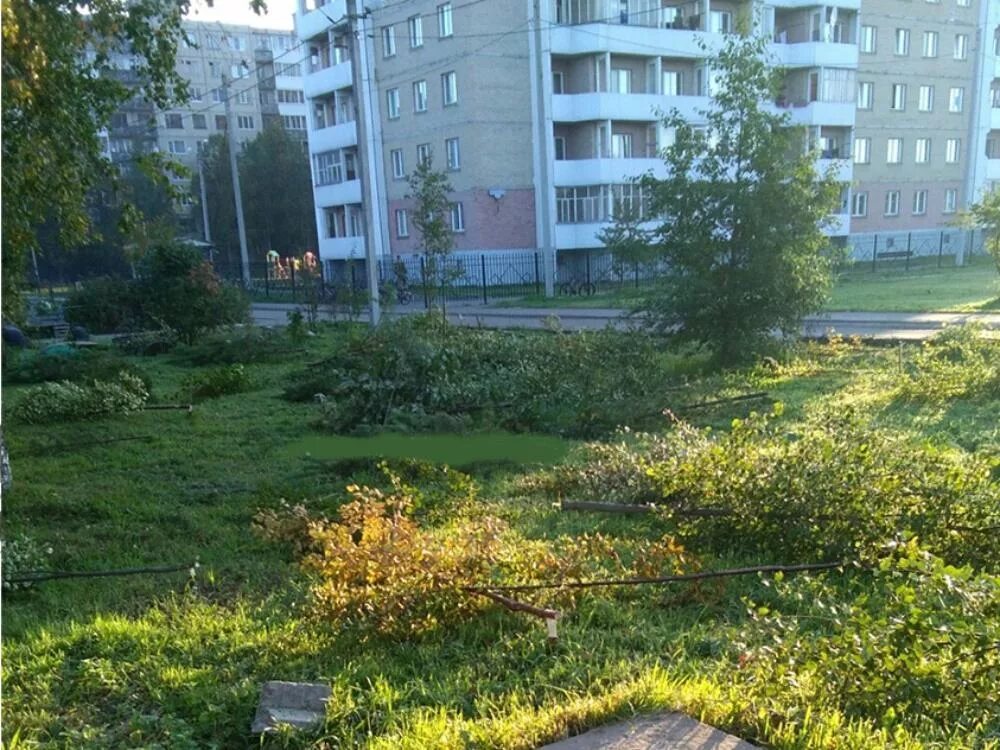 Проспект ленинградский архангельск фото Снова Ленинградский: архангельские вандалы выломали целую аллею молодых деревьев