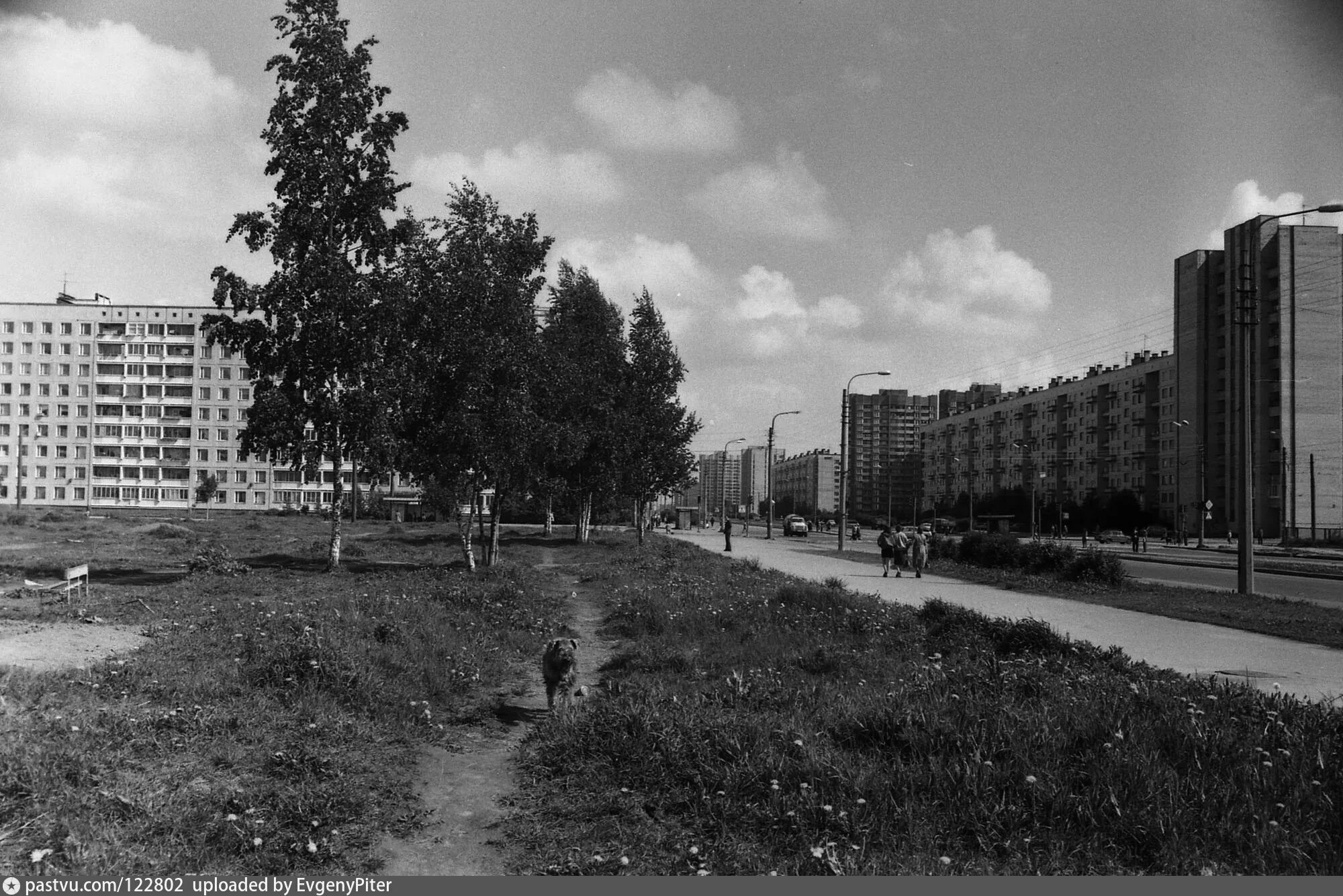 Проспект северная ул 1в фото Перекрёсток пр. Луначарского и ул. Есенина - Retro photos