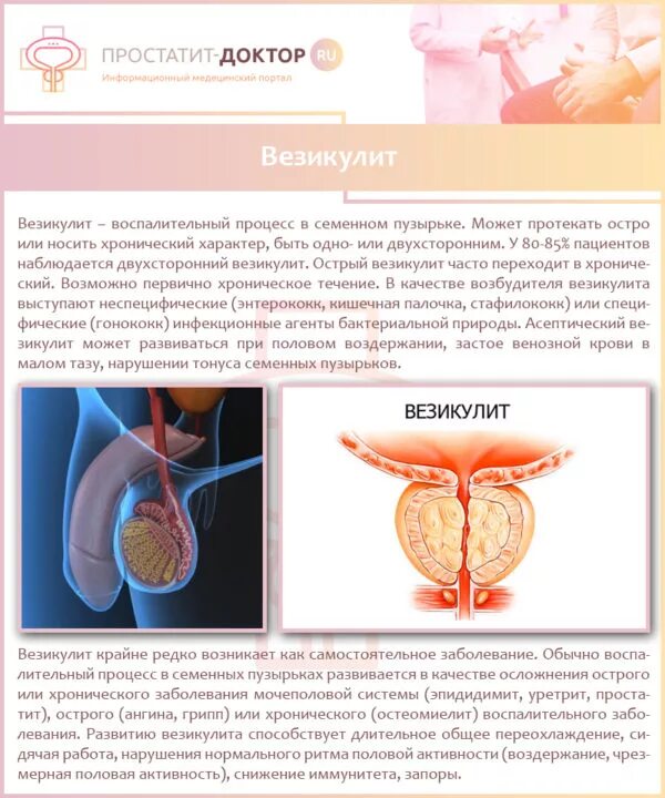 Простата это простыми словами фото у мужчин ТРУЗИ предстательной железы: что это такое, подготовка и как проводят исследован