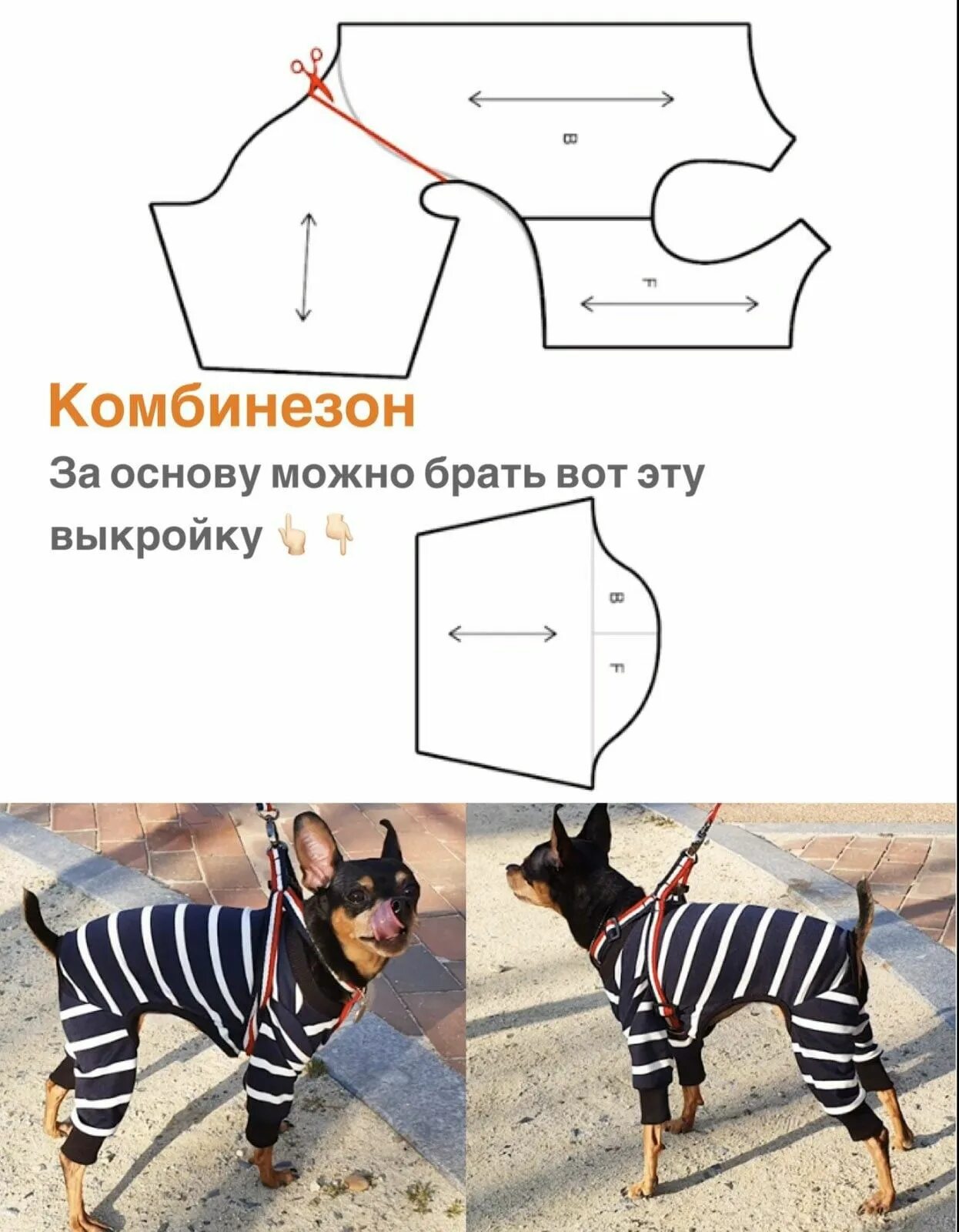 Простая выкройка одежды для собак своими руками Пин на доске cats dogs animals Кошачья одежда, Одежда для собак, Свитер для соба