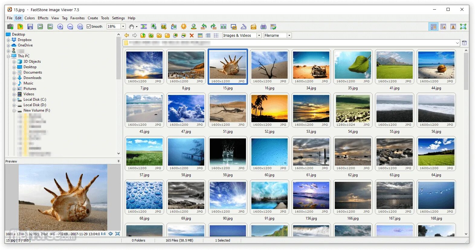 Простейшее просмотра фото FastStone Image Viewer 5.9 Download