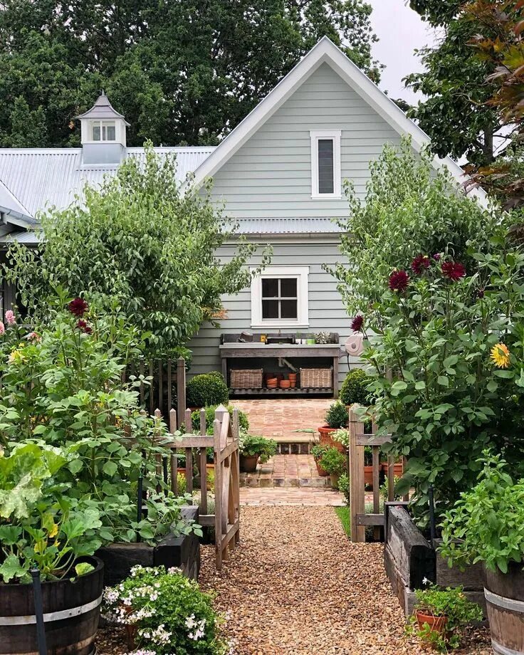 Просто дача фото Jenny Rose-Innes on Instagram: "Looking back at the house from the kitchen garde