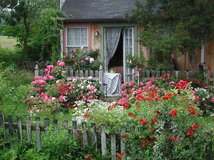 Просто дача фото All sizes Cottage Garden with Flower Carpet roses Flickr - Photo Sharing! Cottag