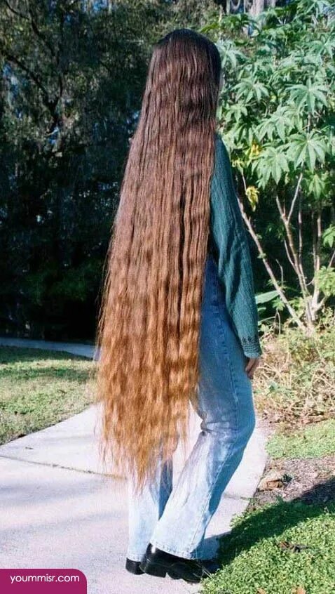 Просто длинные волосы фото World’s longest hair female 2019 2010 Long hair styles, Extremely long hair, Rea