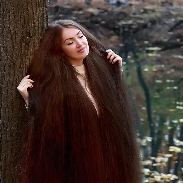 Просто длинные волосы фото Pin by T Rich on Long Hair 75 Long brunette hair, Extremely long hair, Long hair