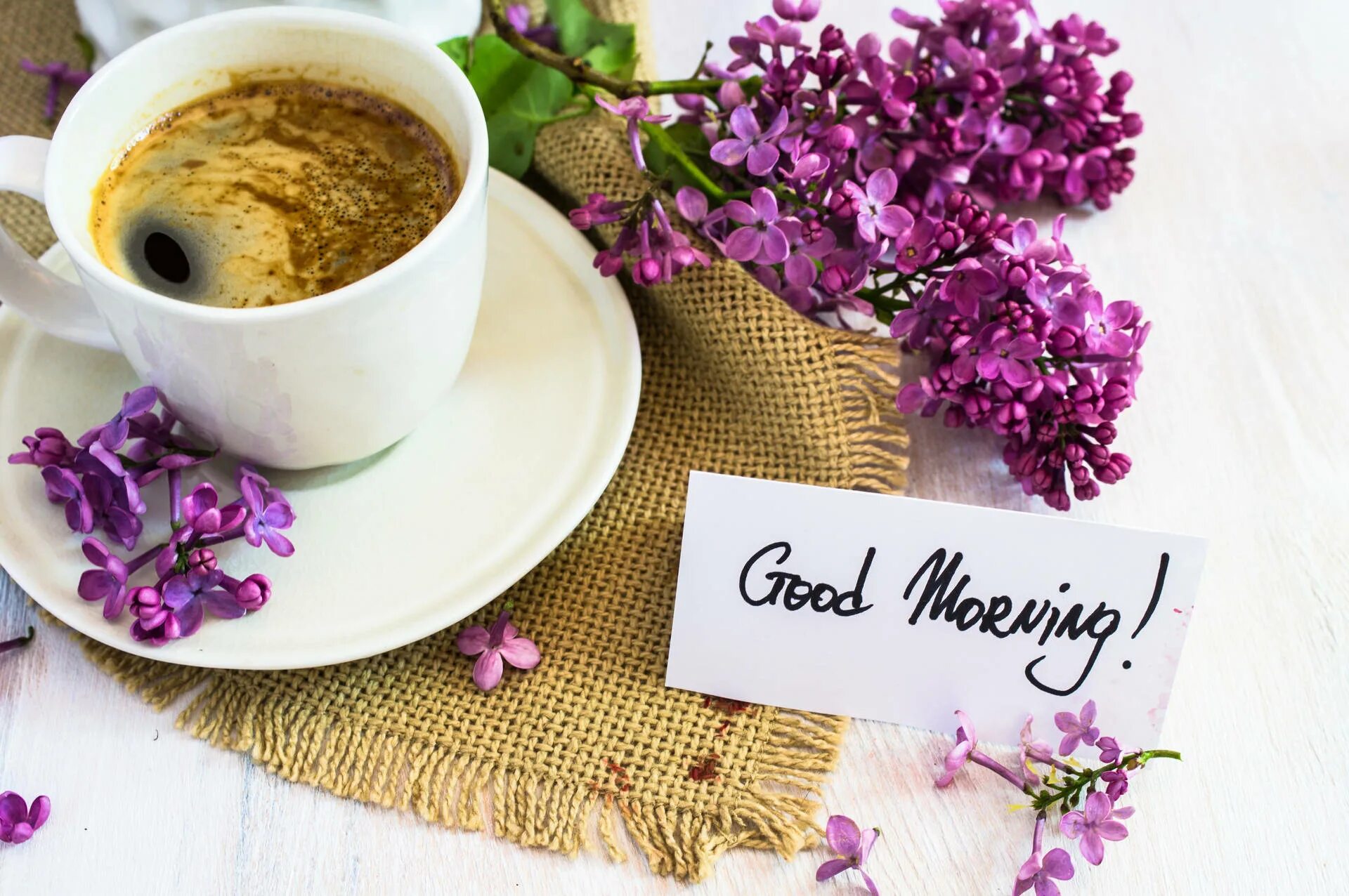 Просто доброе утро картинки красивые Download Good Morning Coffee Cup With Lilac Wallpaper Wallpapers.com