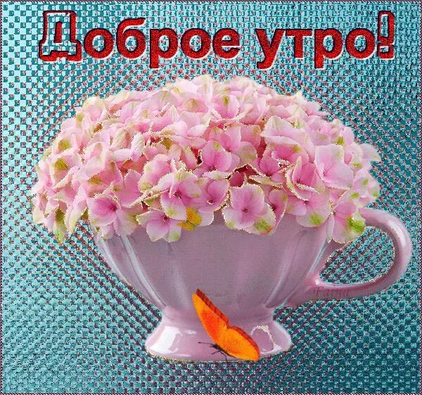 Просто доброе утро с пожеланиями картинки красивые Доброе утро /Good morning - GIF АНИМАЦИЯ - Страна красоты Gif Доброе утро, Поздр