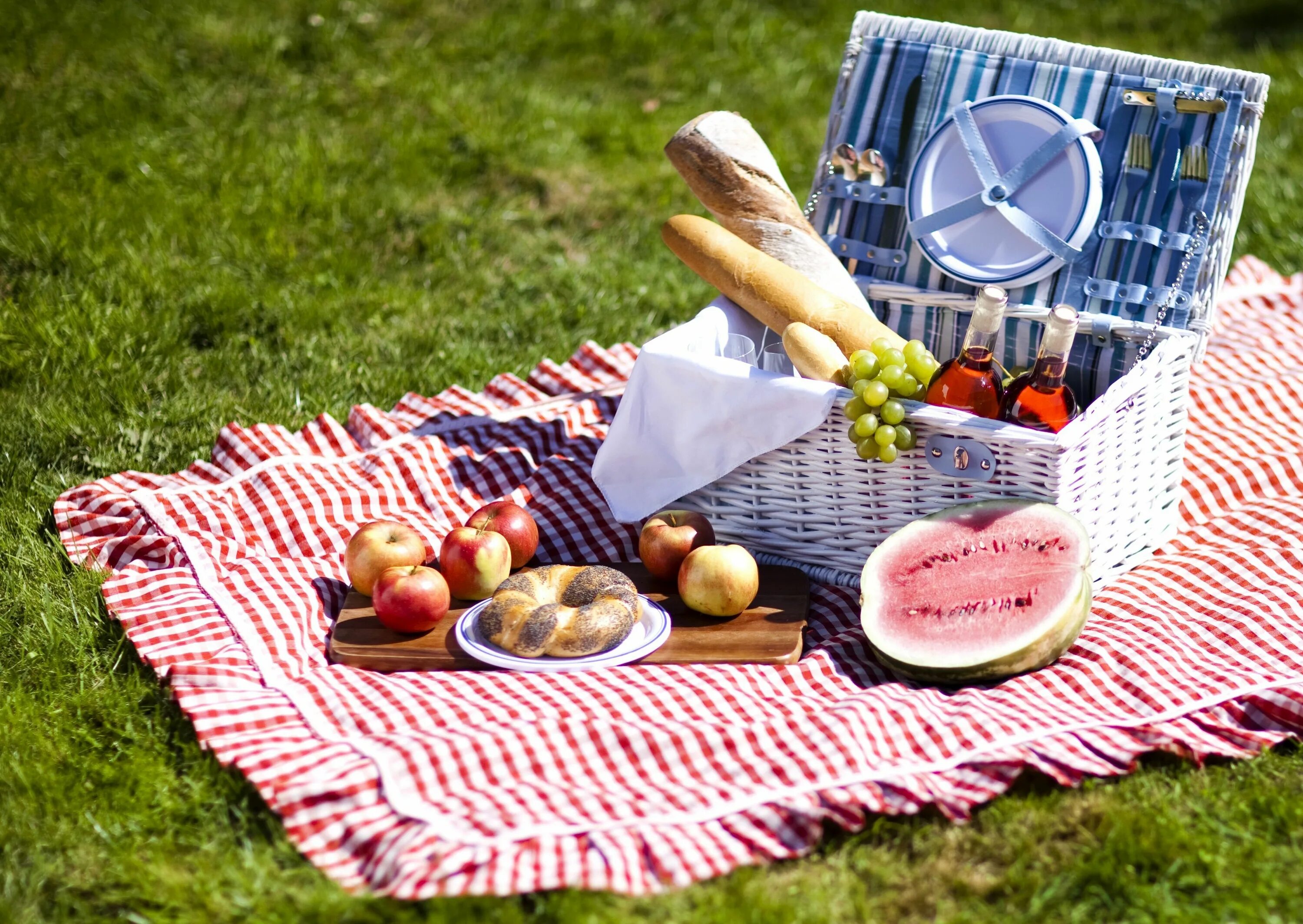 Просто фото пикника 55+ Summer Picnic Wallpapers - Download at WallpaperBro