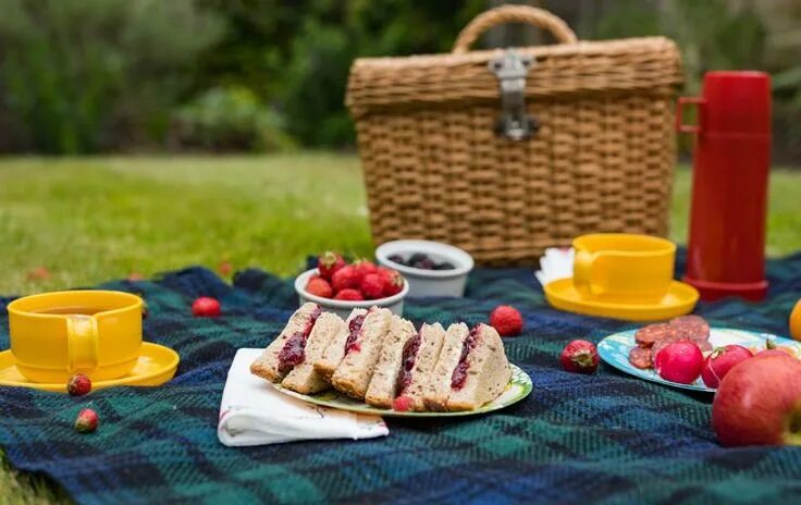 Просто фото пикника British Main Dish Recipes Picnic, Perfect picnic, Picnic foods