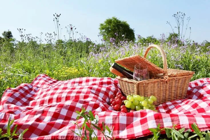 Просто фото пикника picnic set up - Google Search Picnic, Picnic planning, Perfect picnic