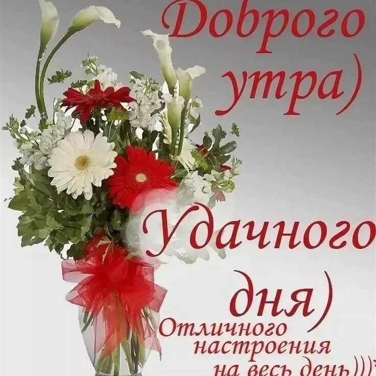 Просто хорошего утра и дня картинки 206 отметок "Нравится", 3 комментариев - Наталья Попова (@popova2972) в Instagra