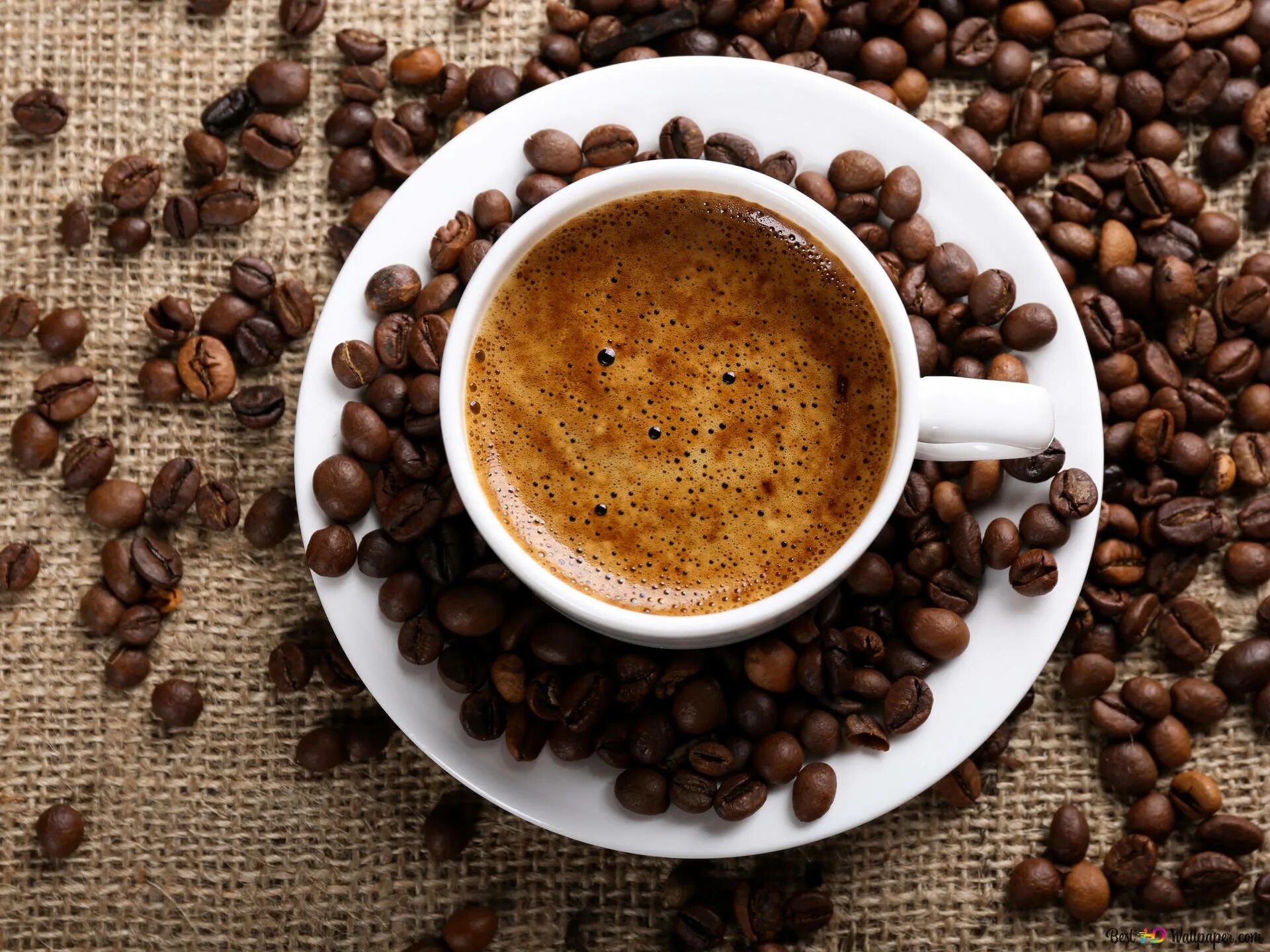 Просто кофе фото Download Hot Espresso Surrounded By Coffee Beans Wallpaper Wallpapers.com