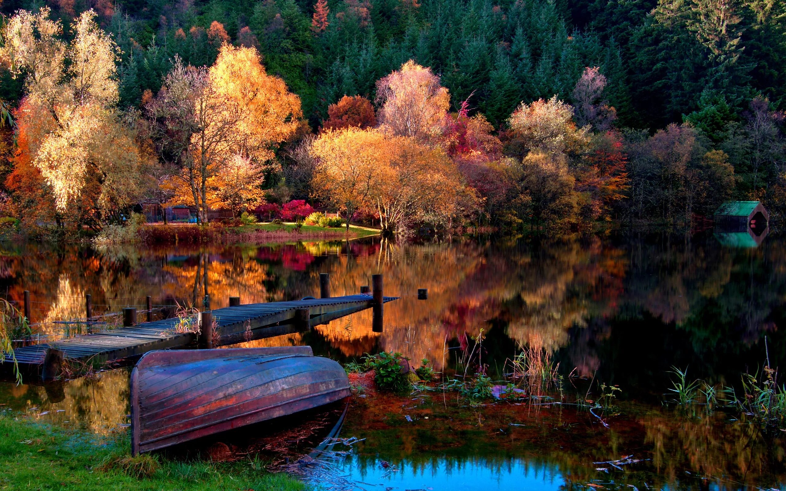 Просто красивые фото Wallpaper : boat, coast, bottom, autumn, lake, surface, trees, wood, reflection,