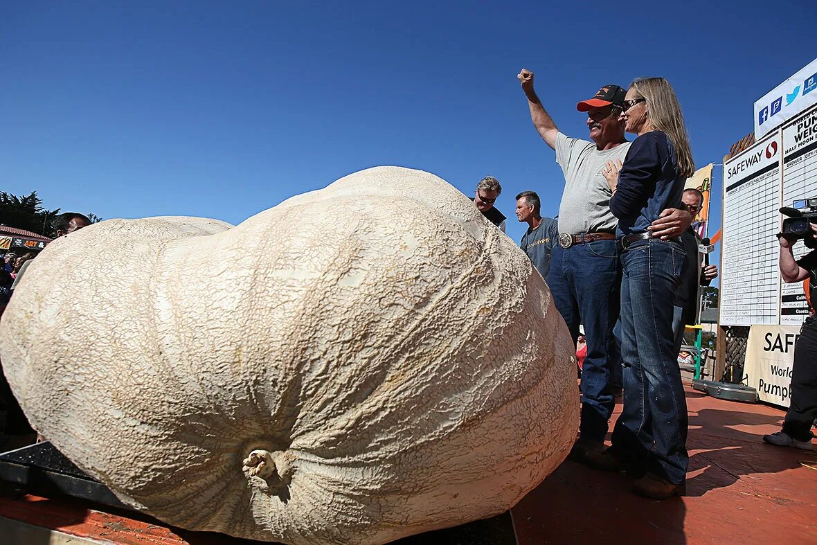 Просто огромный фото Hot Shots Photos of the Day: Giant Pumpkin, Kobani Spectators, Reese Witherspoon