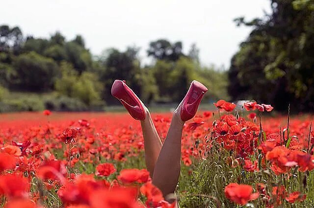 Просто жить фото Pin by Sanya Stasyukova on МАКИ Poppies, Lady in red, Poppy field