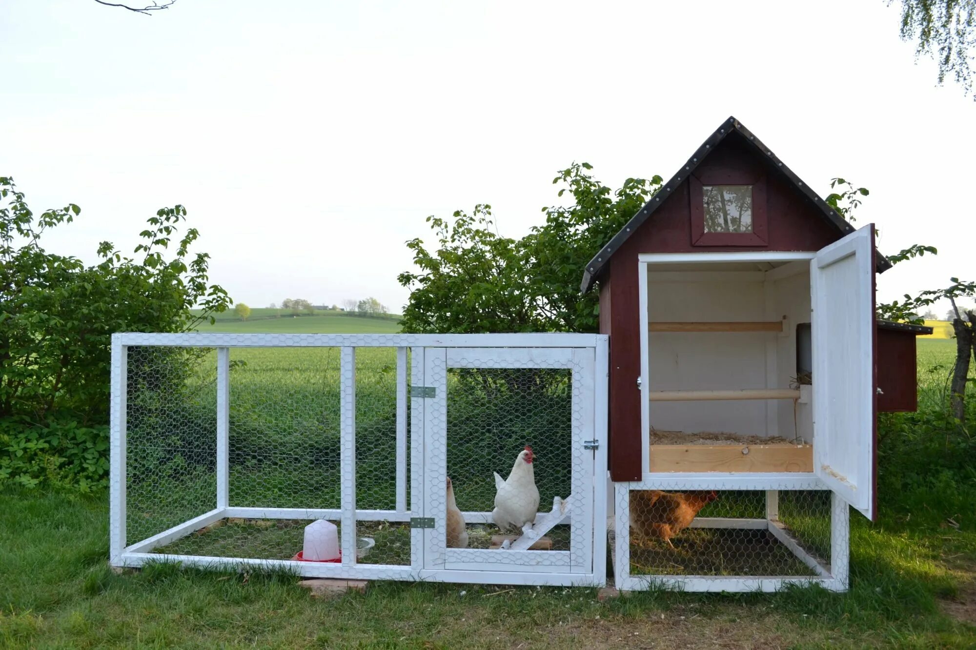 Простой курятник на даче своими руками Chickenanya's Swedish coop Page 2 BackYard Chickens - Learn How to Raise Chicken