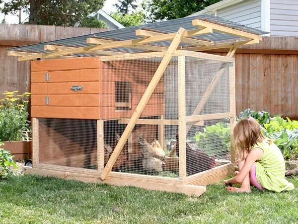 Простой курятник на даче своими руками The Garden Ark BackYard Chickens - Learn How to Raise Chickens