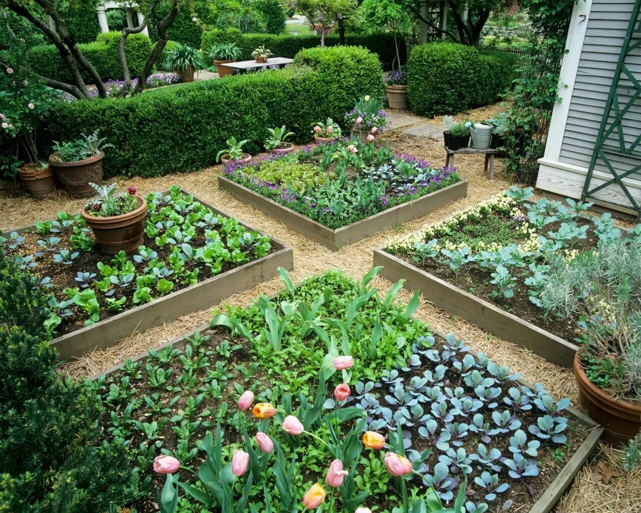 Простой огород фото Do It Yourself Gardening With Raised Garden Beds - DIY Ideas Garten landschaftsb