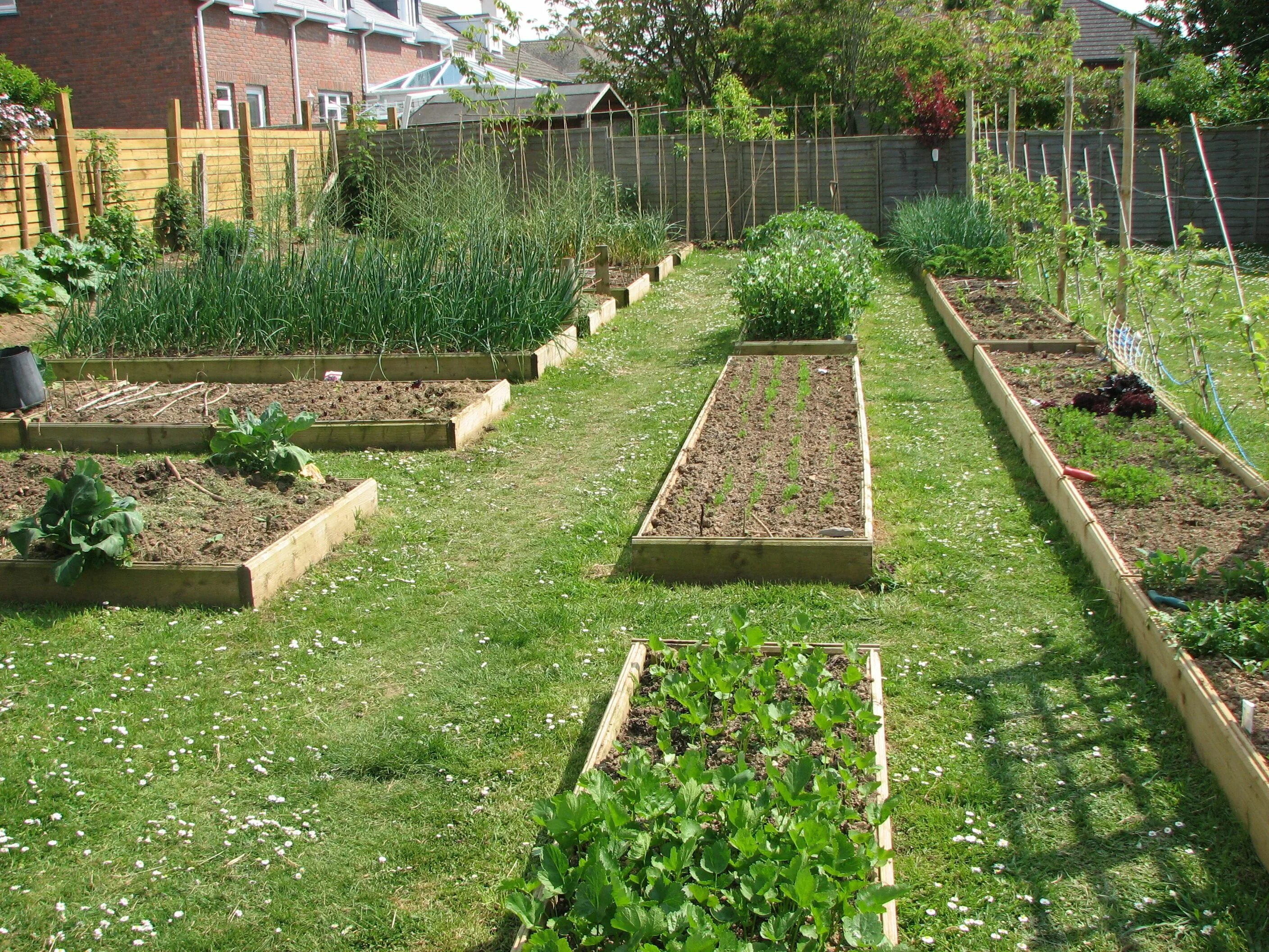 Простой огород фото Vegetable Gardening Small garden landscape design, Small garden landscape, Garde