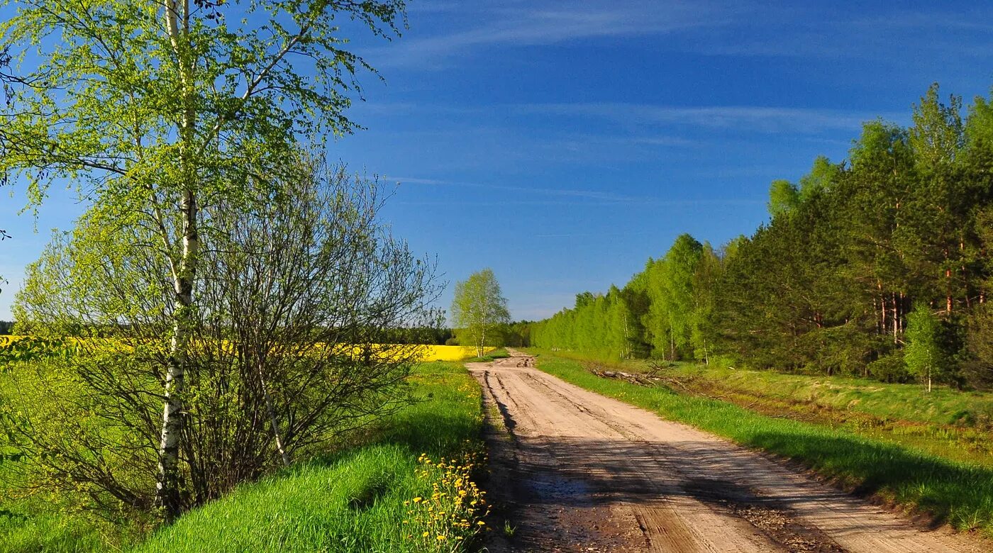 Простой пейзаж фото простой пейзаж / май, весна, за деревней / Автор: Лелюков Виктор