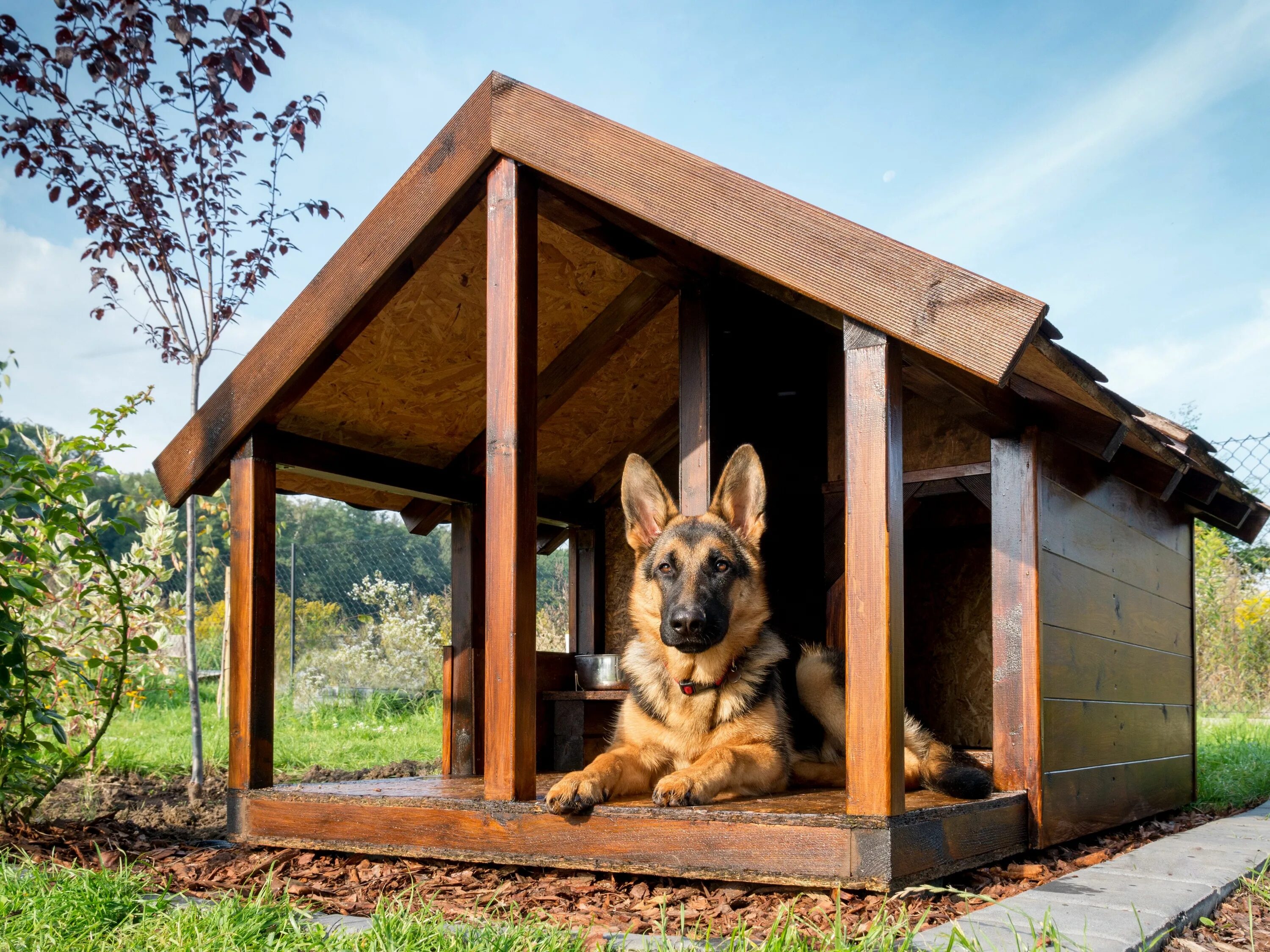 Простые будки для собак фото Dog House Ideas That Benefit Your Dog Greenfield Puppies Outdoor dog house, Big 