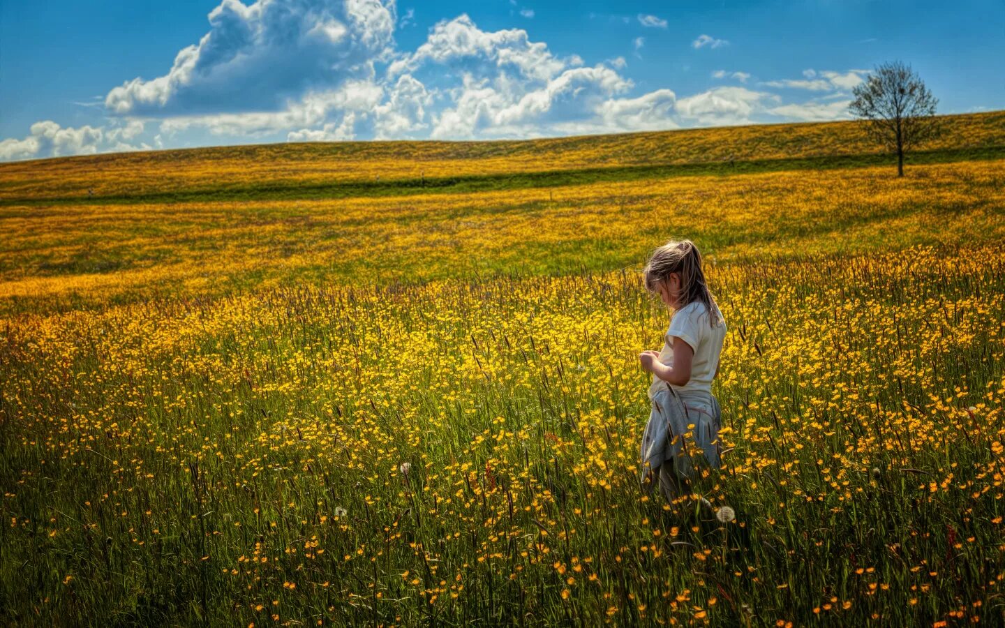 Простые фото в поле Little girl walking through the field with yellow flowers Desktop wallpapers 144