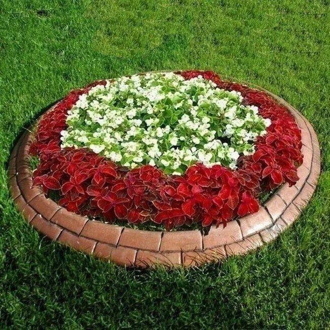 Простые клумбы фото Round flower, herb, vegetable beds: 40 simple ideas for your garden My desired h