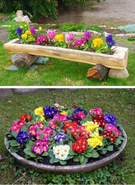 Простые клумбы своими руками на даче Primulas are beautiful flowers which bloom in spring Flower garden design, Conta