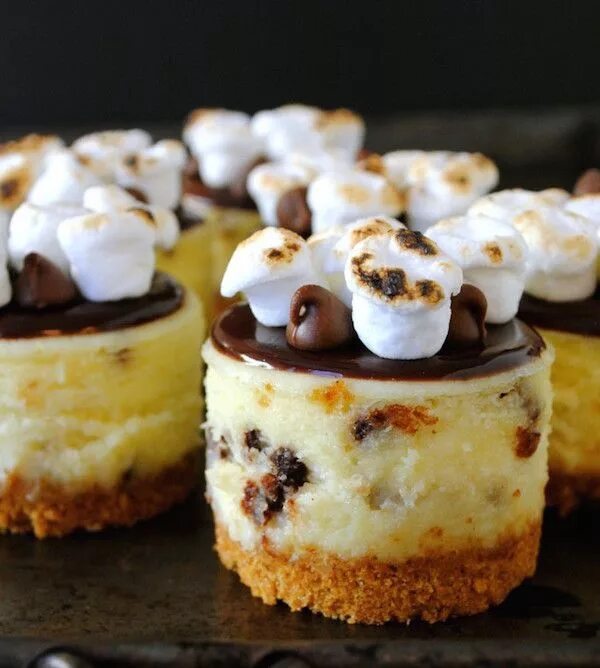 Простые рецепты пирожных фото 30 Next-Level Ways To Make S'mores Even More Delicious This Summer Mini cheeseca