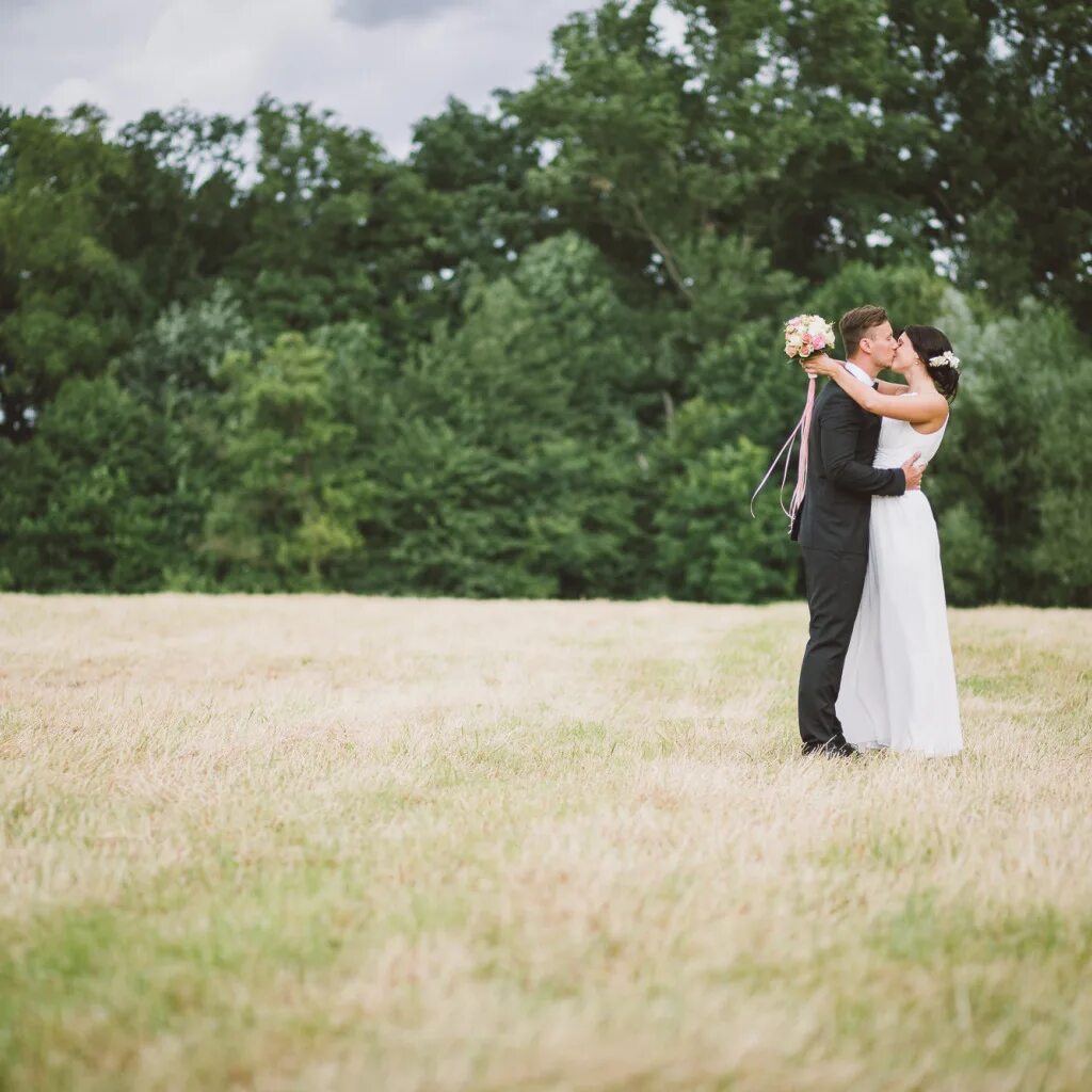 Простые свадебные фото Download wallpaper field, grass, kiss, dress, costume, the bride, the groom, sec