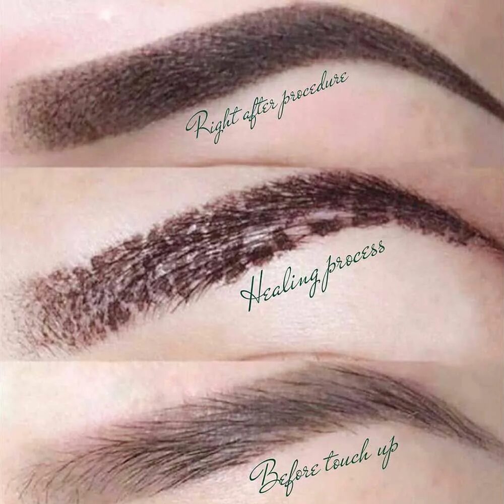 Процесс заживления бровей фото Powder Brows Healing Process: Full Day by Day Overview - PMUHub Microblading hea